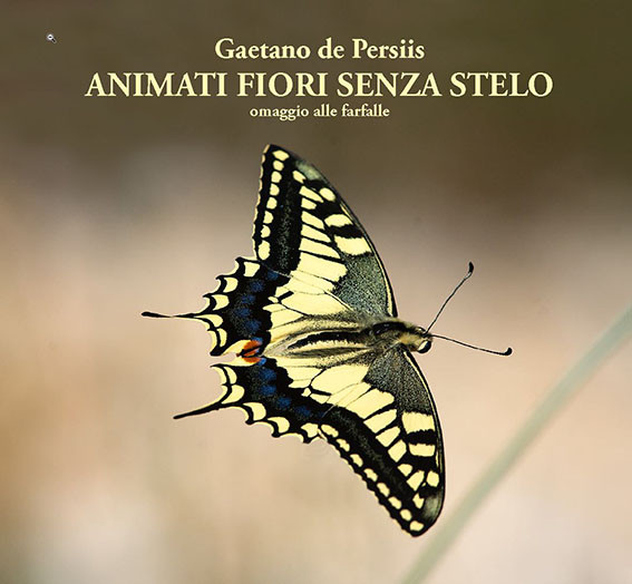 ANIMATI FIORI SENZA STELO