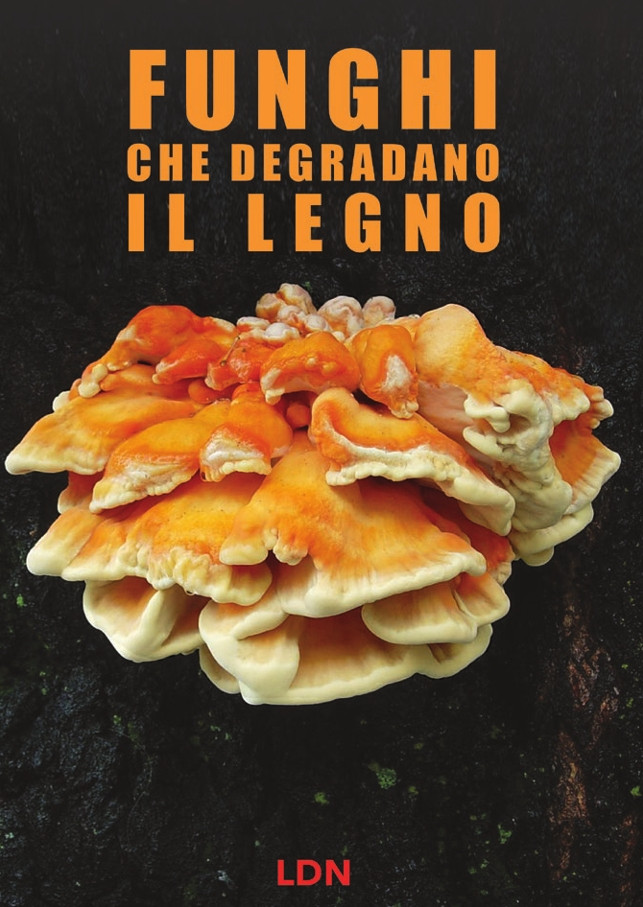 FUNGHI CHE DEGRADANO IL LEGNO