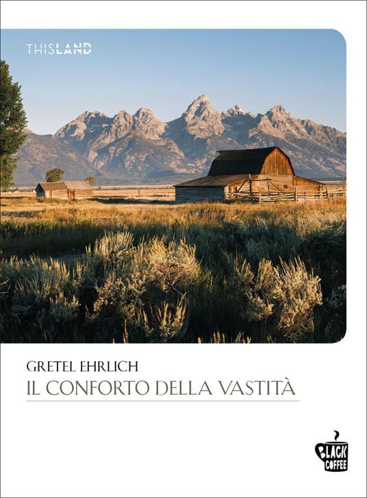 IL CONFORTO DELLA VASTITA