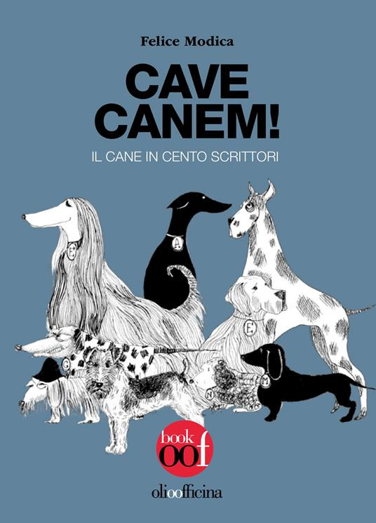 CAVE CANEM