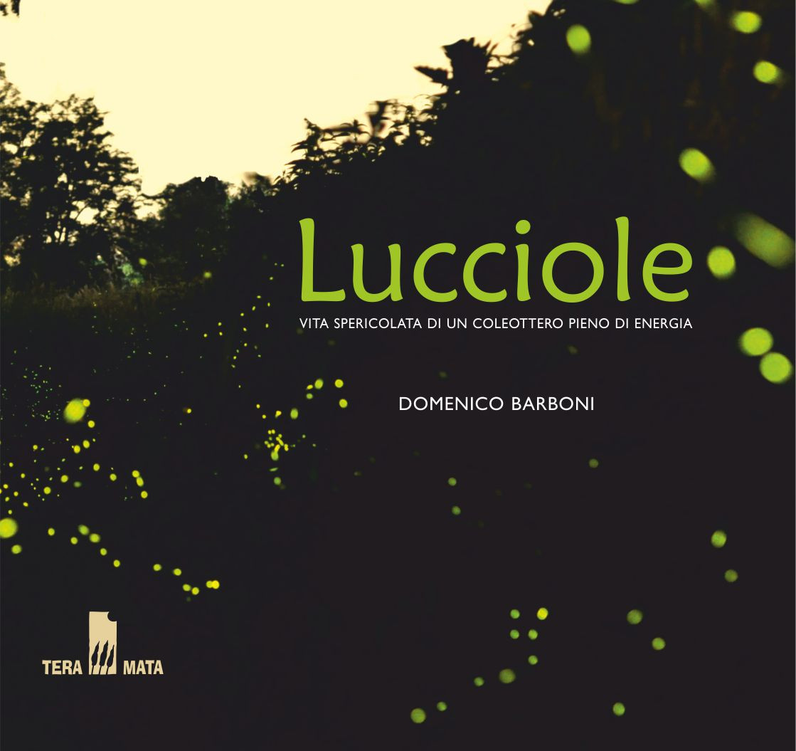 LUCCIOLE