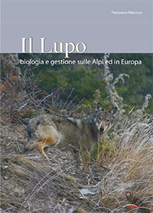 IL LUPO