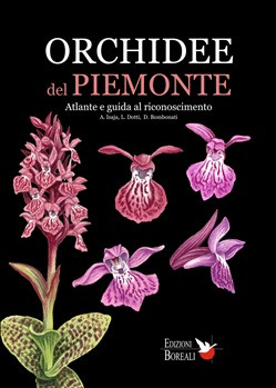 ORCHIDEE DEL PIEMONTE