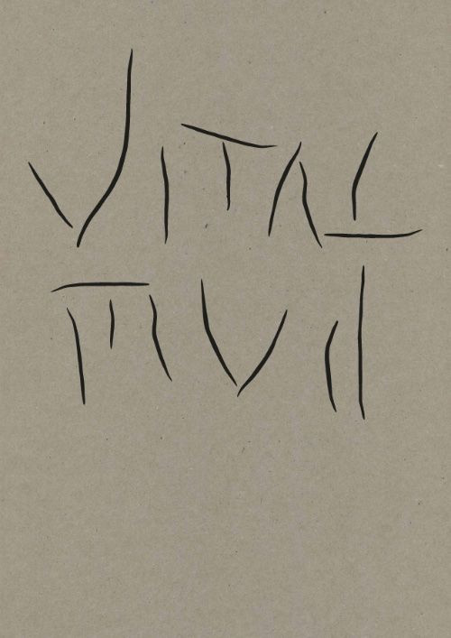 VITAL MUD