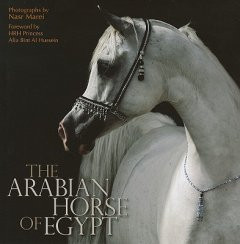 THE ARABIAN HORSE OF EGYPT