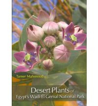 DESEERT PLANTS OF EGYPT SWADI EL GEMAL NATIONAL PARK