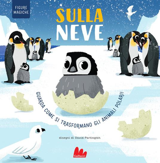 SULLA NEVE