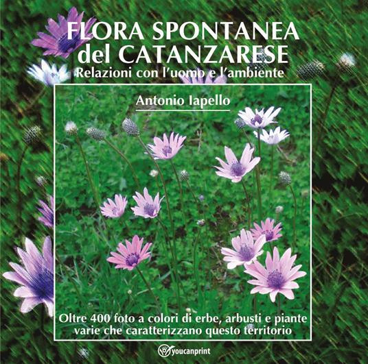 FLORA SPONTANEA DEL CATANZARESE