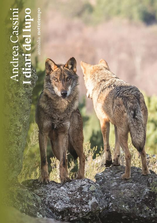 I DIARI DEL LUPO
