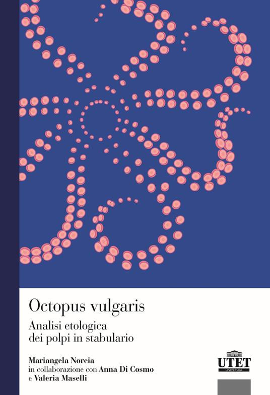 OCTOPUS VULGARIS