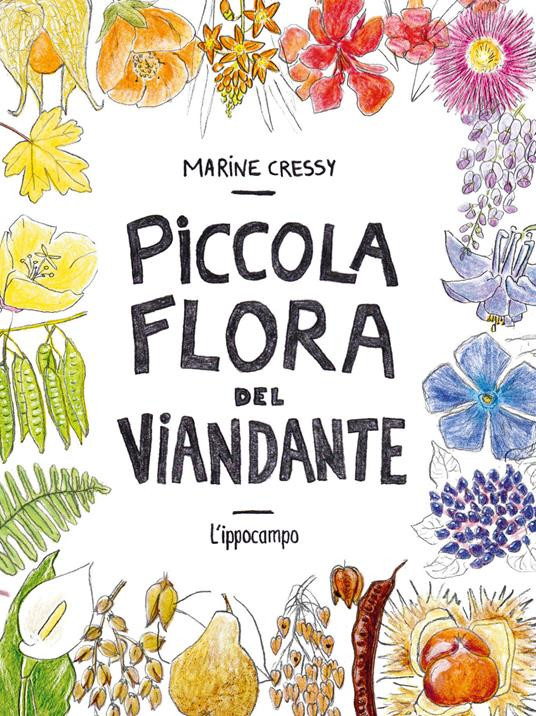 PICCOLA FLORA DEL VIANDANTE