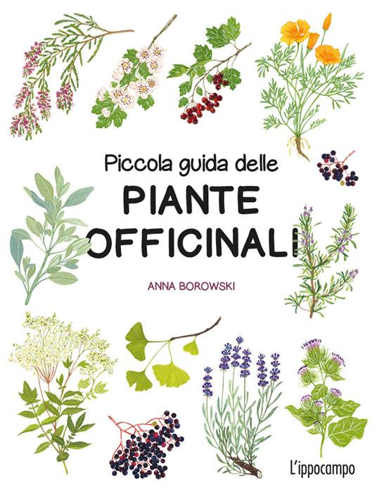 PICCOLA GUIDA DELLE PIANTE OFFICINALI