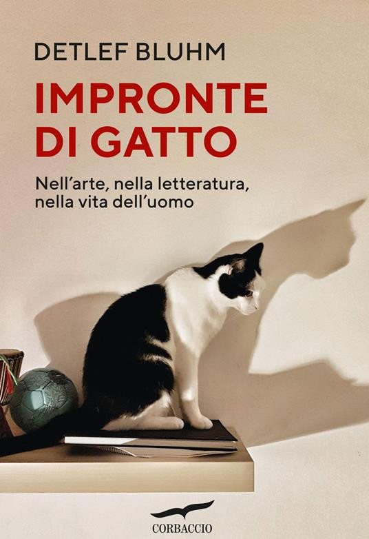 IMPRONTE DI GATTO
