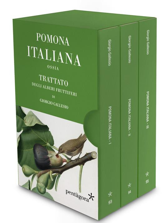 POMONA ITALIANA
