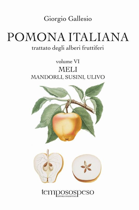 POMONA ITALIANA VOLUME VI MELI MANDORLI SUSINI ULIVO