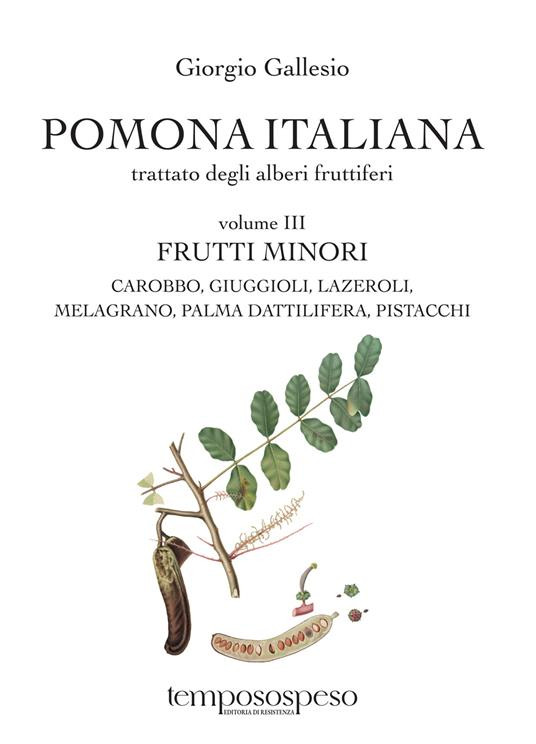 POMONA ITALIANA VOLUME III FRUTTI MINORI