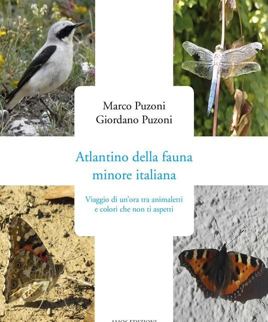 ATLANTINO DELLA FAUNA MINORE ITALIANA