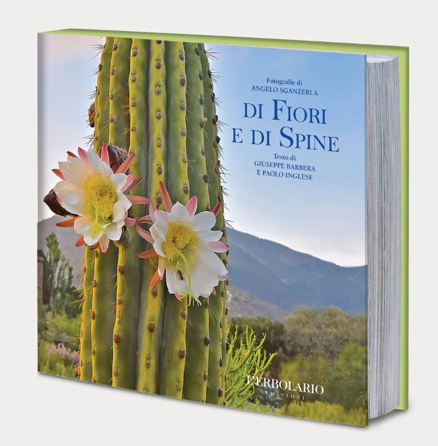 DI FIORI E DI SPINE