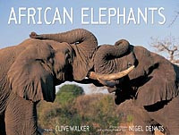 AFRICAN ELEPHANTS