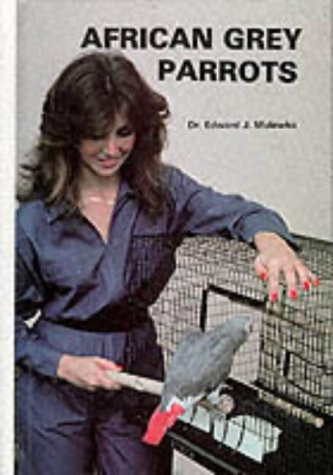 AFRICAN GREY PARROTS+++