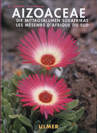 AIZOACEAE