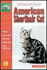 AMERICAN SHORTHAIR CAT,GUIDE TO OWING AN