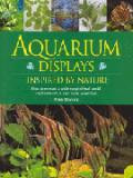 AQUARIUM DISPLAYS INSPIRED BY NATURE+++