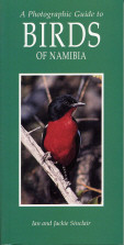 BIRDS OF NAMIBIA