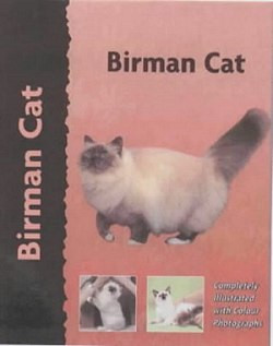 BIRMAN CAT