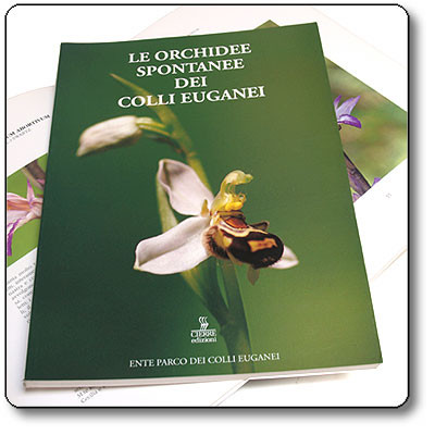 ORCHIDEE SPONTANEE DEI COLLI EUGANEI