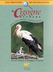 CIGOGNE BLANCHE