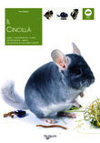 CINCILLA 