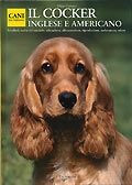 COCKER INGLESE E AMERICANO
