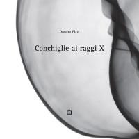 CONCHIGLIE AI RAGGI X