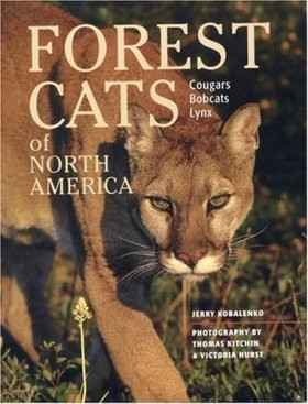 FOREST CATS