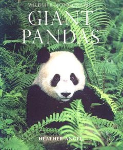 GIANT PANDAS