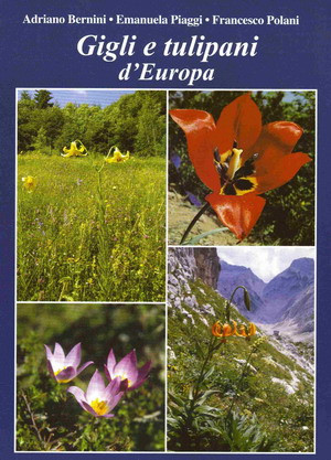 GIGLI E TULIPANI D EUROPA
