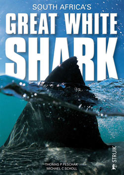 GREAT WHITE SHARK