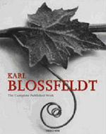KARL BLOSSFELDT