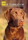 LABRADOR