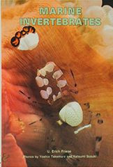 MARINE INVERTEBRATES