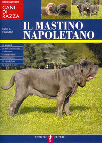 MASTINO NAPOLETANO
