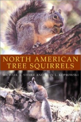 NORTH AMERICAN TREE SQUIRRELS