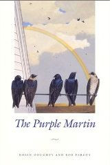 PURPLE MARTIN