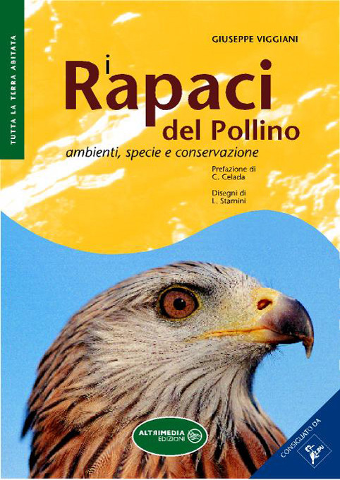 RAPACI DEL POLLINO