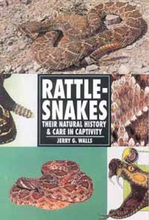 RATTLE-SNAKES