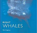 RIGHT WHALES
