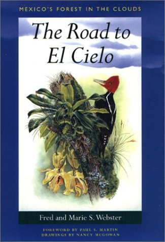 ROAD TO EL CIELO