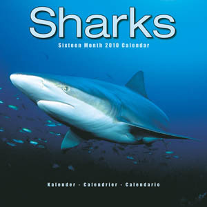 SHARKS 2010