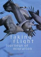 TAKING FLIGHT